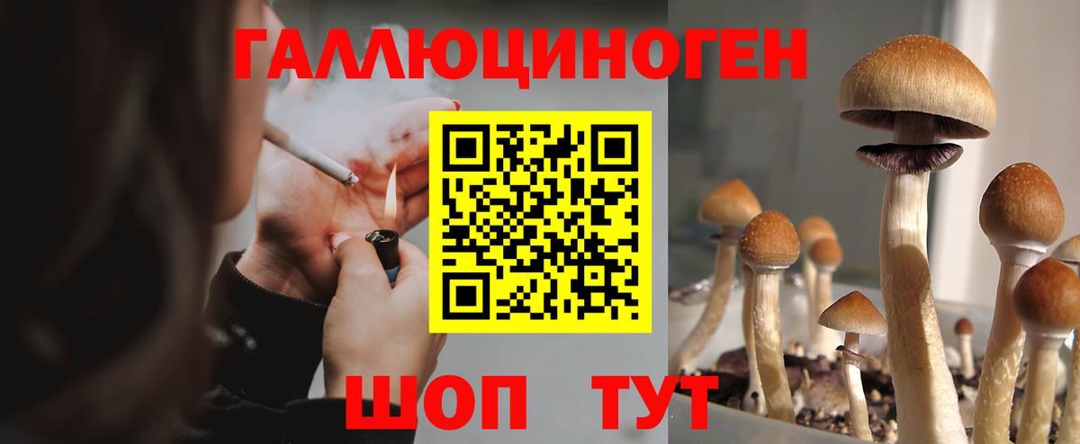 Псилоцибиновые грибы Cubensis  купить наркотик  Ачинск  Вход с VPN 